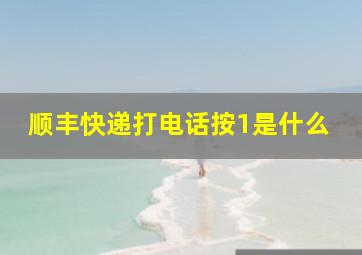 顺丰快递打电话按1是什么