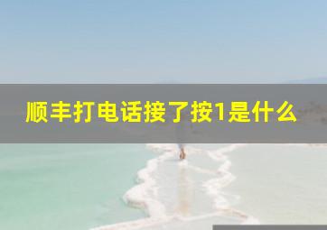 顺丰打电话接了按1是什么