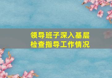 领导班子深入基层检查指导工作情况