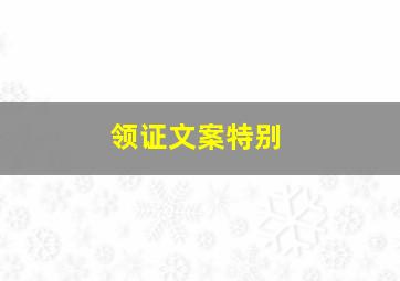 领证文案特别