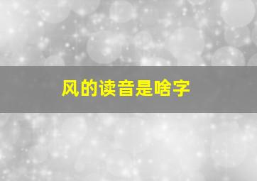 风的读音是啥字