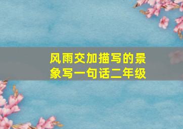 风雨交加描写的景象写一句话二年级