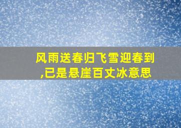 风雨送春归飞雪迎春到,已是悬崖百丈冰意思