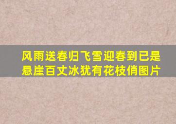 风雨送春归飞雪迎春到已是悬崖百丈冰犹有花枝俏图片