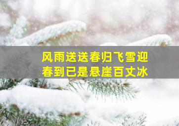 风雨送送春归飞雪迎春到已是悬崖百丈冰