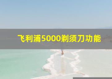 飞利浦5000剃须刀功能