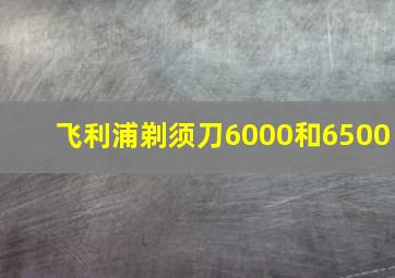 飞利浦剃须刀6000和6500