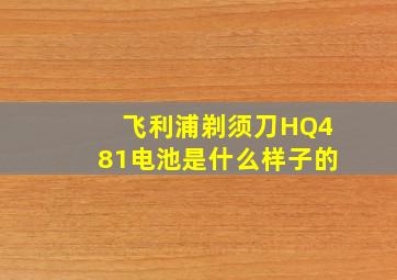 飞利浦剃须刀HQ481电池是什么样子的