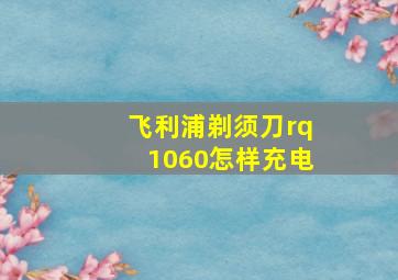 飞利浦剃须刀rq1060怎样充电