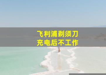 飞利浦剃须刀充电后不工作