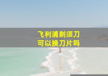 飞利浦剃须刀可以换刀片吗