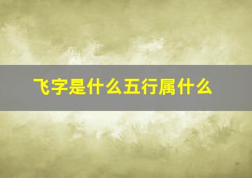 飞字是什么五行属什么