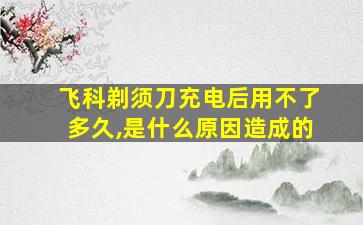 飞科剃须刀充电后用不了多久,是什么原因造成的