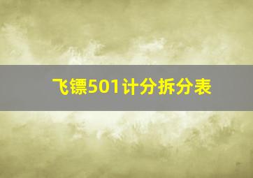 飞镖501计分拆分表