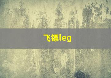 飞镖leg