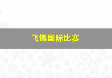 飞镖国际比赛