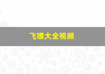 飞镖大全视频