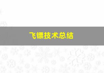 飞镖技术总结