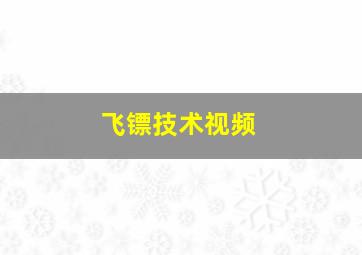 飞镖技术视频