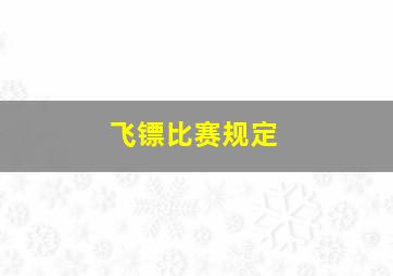 飞镖比赛规定