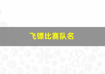 飞镖比赛队名