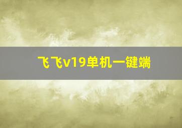 飞飞v19单机一键端