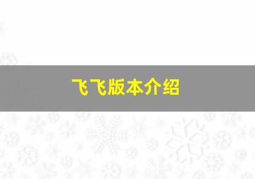 飞飞版本介绍