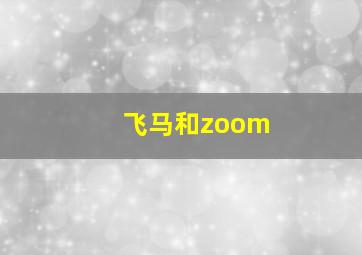 飞马和zoom