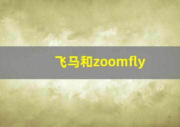 飞马和zoomfly