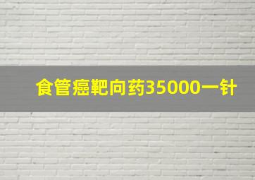 食管癌靶向药35000一针