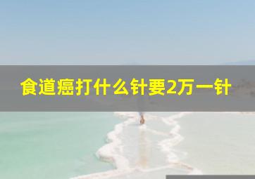 食道癌打什么针要2万一针