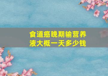 食道癌晚期输营养液大概一天多少钱