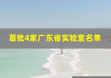 首批4家广东省实验室名单