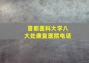 首都医科大学八大处康复医院电话