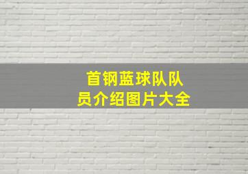 首钢蓝球队队员介绍图片大全