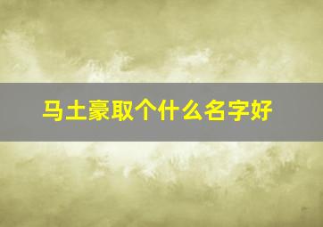 马土豪取个什么名字好