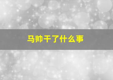 马帅干了什么事