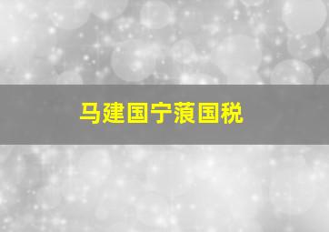 马建国宁蒗国税