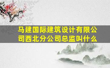 马建国际建筑设计有限公司西北分公司总监叫什么