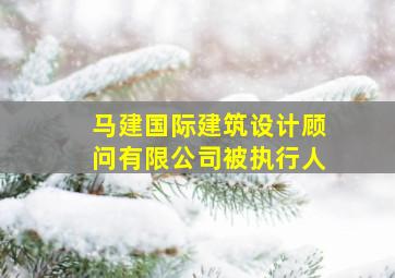 马建国际建筑设计顾问有限公司被执行人