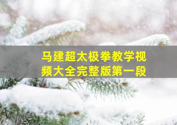 马建超太极拳教学视频大全完整版第一段