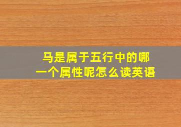 马是属于五行中的哪一个属性呢怎么读英语