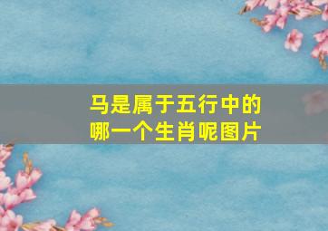 马是属于五行中的哪一个生肖呢图片