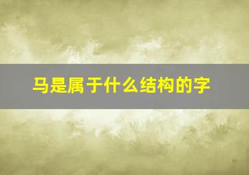 马是属于什么结构的字