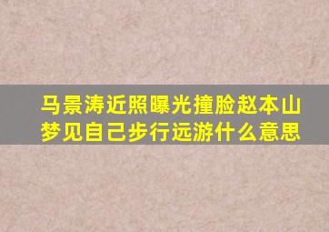 马景涛近照曝光撞脸赵本山梦见自己步行远游什么意思