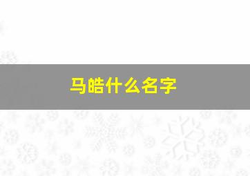 马皓什么名字