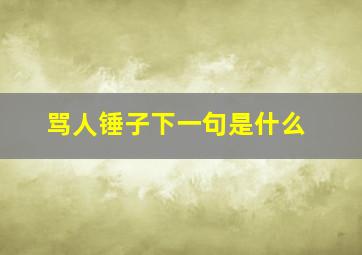 骂人锤子下一句是什么