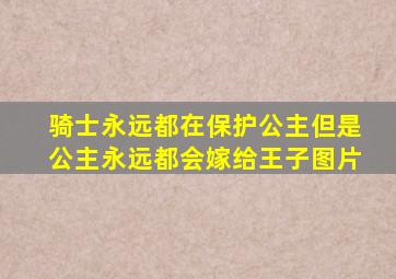 骑士永远都在保护公主但是公主永远都会嫁给王子图片