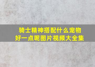 骑士精神搭配什么宠物好一点呢图片视频大全集