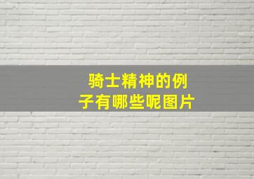 骑士精神的例子有哪些呢图片